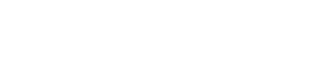 sentinel  Inc.